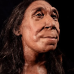 Che faccia aveva una donna Neanderthal?